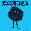 Album artwork for Musique Exotíque 01 Demo Cassette by Exotica