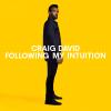 Album artwork for Following my Intuition by Craig David