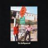 Album artwork for Do Hollywood by The Lemon Twigs